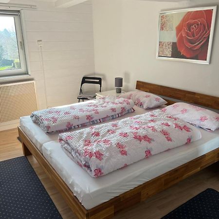 Gemuetliche Ferienwohnung Im Altbau กอสลาร์ ภายนอก รูปภาพ